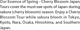 Our Essence of Spring - Cherry Blossom Japan Tours cover the must-see spots of Japan during sakura (cherry blossom) season. Enjoy a Cherry Blossom Tour while sakura bloom in Tokyo, Kyoto, Nara, Osaka, Hiroshima, and Southern Japan.
