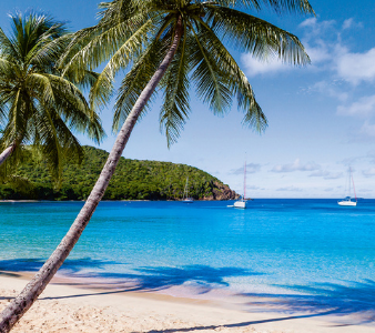 Beach, palms, blue water