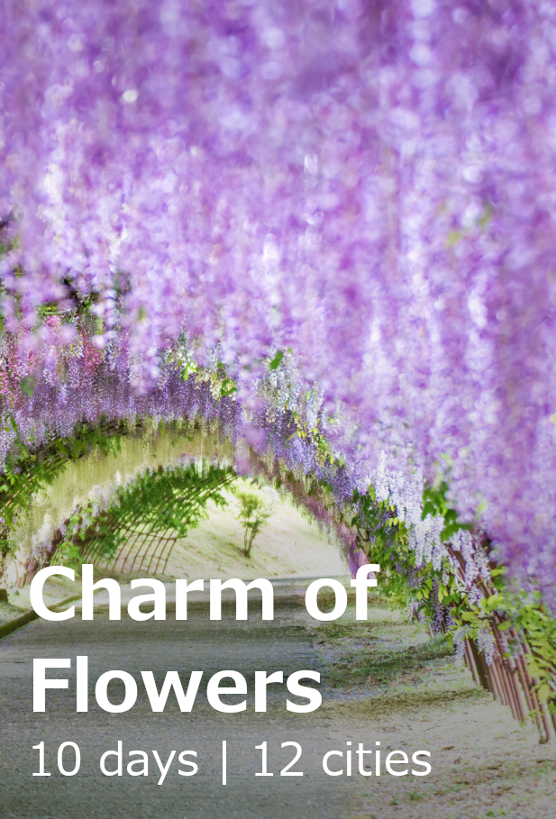 Charm of Flowers