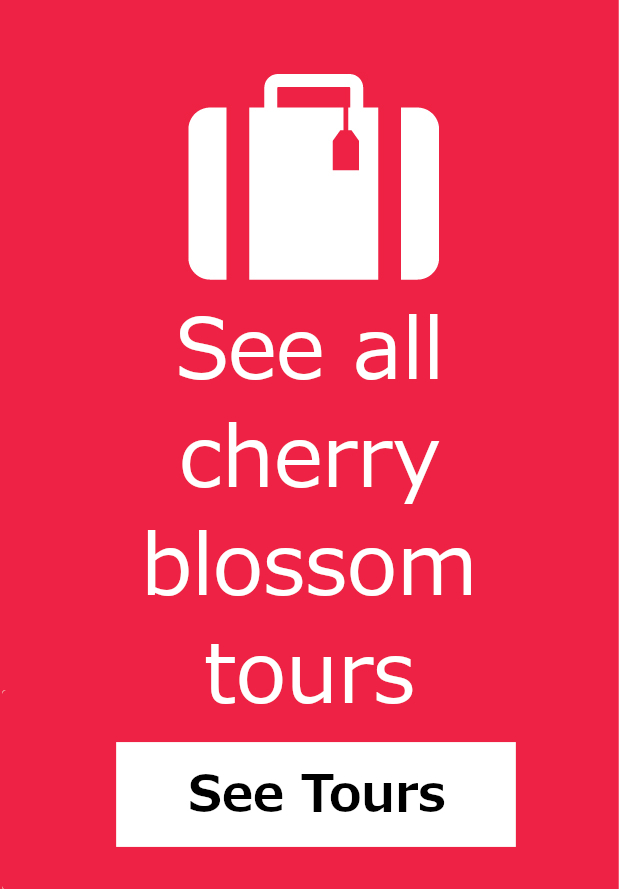 See Tours
