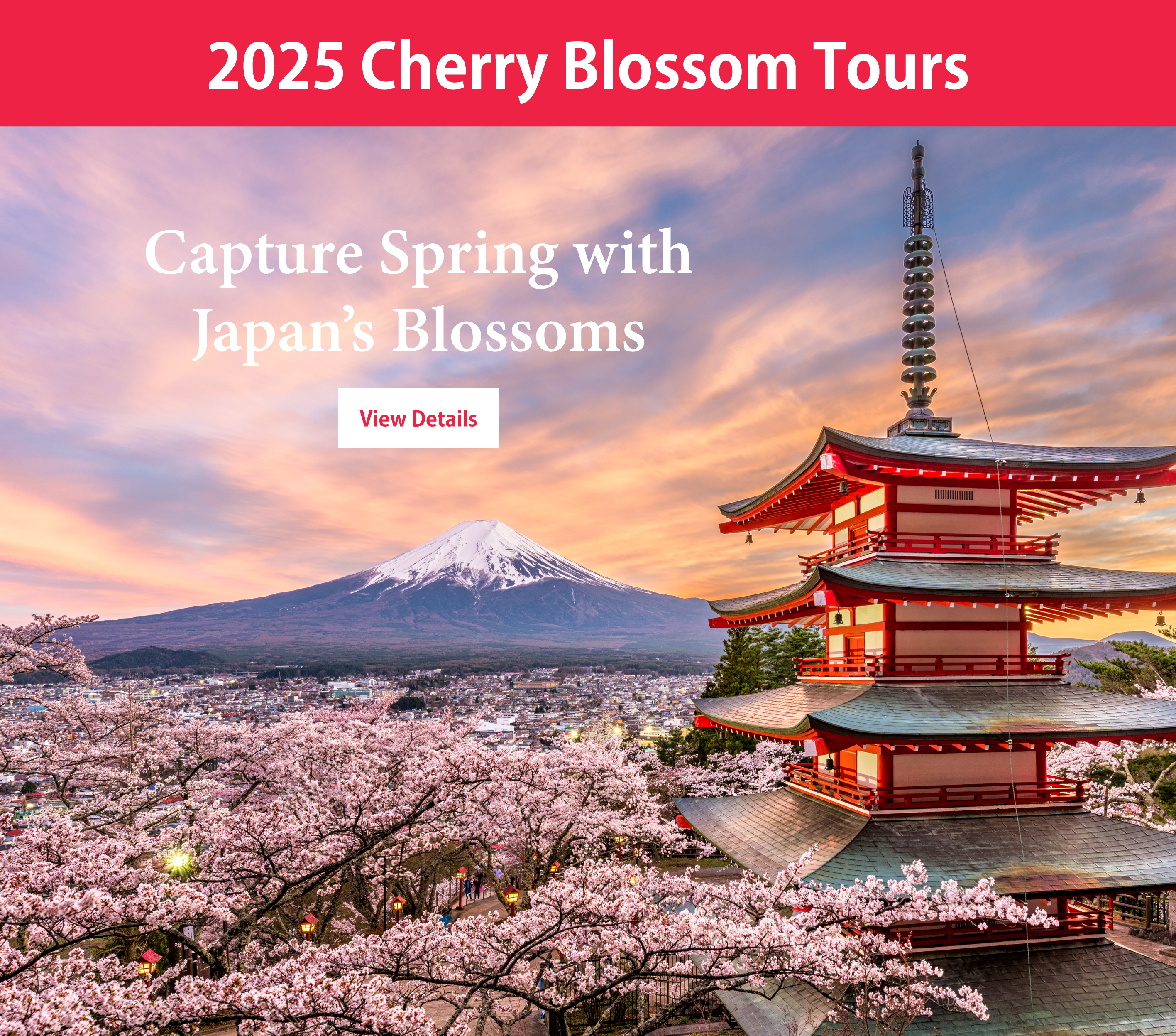 2025 Cherry Blossom Tours