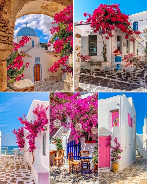 ��� ������� ��������� ��������� ��� �� ����������.