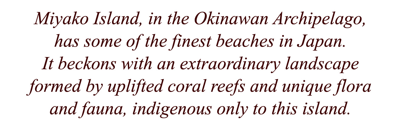 Miyako Island, in the Okinawan Archipelago, has some of the finest beaches in Japan. It beckons with an extraordinary landscape formed by uplifted coral reefs and unique flora and fauna, indigenous only to this island.